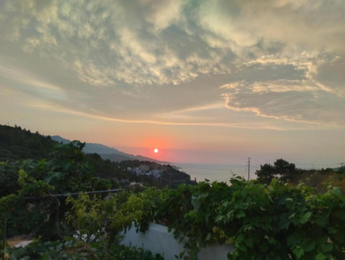 Villa Sunset ساموس المظهر الخارجي الصورة